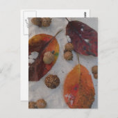 オレンジの紅葉とドングリ ポストカード (正面/裏面)