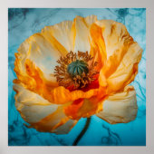 オレンジの美 ポスター (正面)