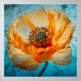 オレンジの美 ポスター