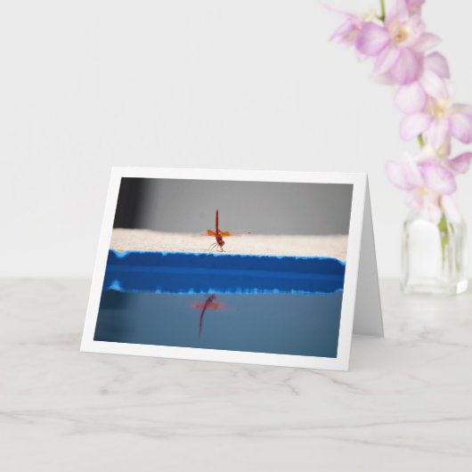 オレンジの羽を持つアカトンボ カード (蘭)