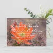 オレンジの花が咲く 招待状 (スタンド正面)