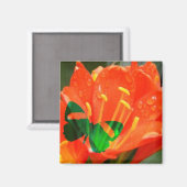 オレンジの花と蝶のマグネット マグネット (正面/裏面)