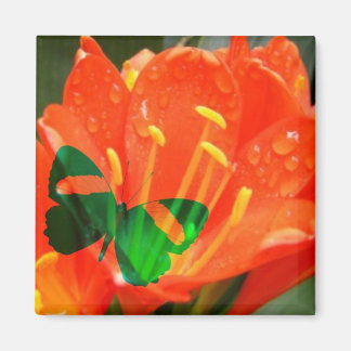 オレンジの花と蝶のマグネット マグネット