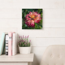 オレンジの花の写真、カナダのキク
