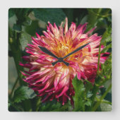 オレンジの花の写真、カナダのキク スクエア壁時計 (正面)