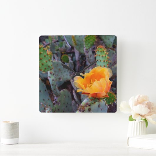 オレンジの花を咲かせたとげのあるナシオパンティアサボテン スクエア壁時計 (ホーム)