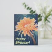 オレンジの花 ポストカード (スタンド正面)