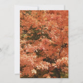 オレンジの葉が落ちる ブライダルシャワー 招待状 (裏面)