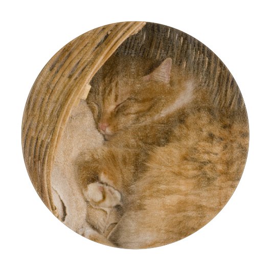 オレンジの虎猫がハンパーで眠っている カッティングボード (正面)