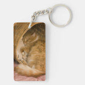 オレンジの虎猫がハンパーで眠っている キーホルダー (裏面)