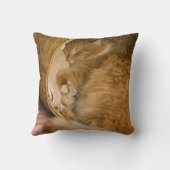 オレンジの虎猫がハンパーで眠っている クッション (裏面)