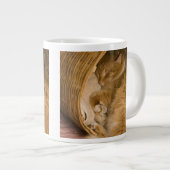 オレンジの虎猫がハンパーで眠っている ジャンボコーヒーマグカップ (正面右)