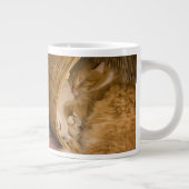オレンジの虎猫がハンパーで眠っている ジャンボコーヒーマグカップ (右)
