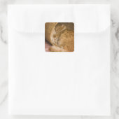 オレンジの虎猫がハンパーで眠っている スクエアシール (バッグ)