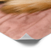 オレンジの虎猫がハンパーで眠っている ポスター (角)