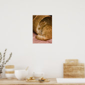 オレンジの虎猫がハンパーで眠っている ポスター (キッチン)