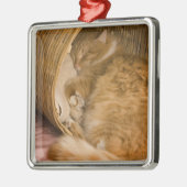 オレンジの虎猫がハンパーで眠っている メタルオーナメント (左)