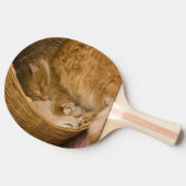 オレンジの虎猫がハンパーで眠っている 卓球ラケット (横)