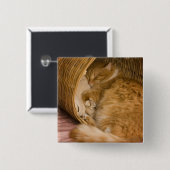 オレンジの虎猫がハンパーで眠っている 缶バッジ (正面&裏面)