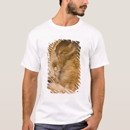 オレンジの虎猫がハンパーで眠っている Tシャツ (正面)