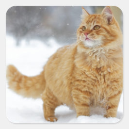 オレンジの虎猫が雪の中 スクエアシール