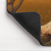 オレンジの虎猫は太陽の下で輝く マウスパッド (コーナー)