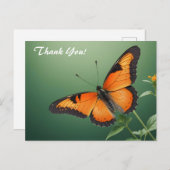 オレンジの蝶と緑の葉 ポストカード (正面/裏面)