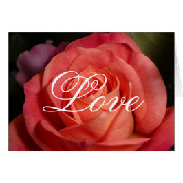 オレンジは上がりました