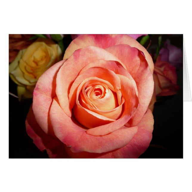 オレンジは上がりました (正面横)