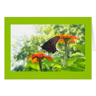 オレンジは私の幸せな色です