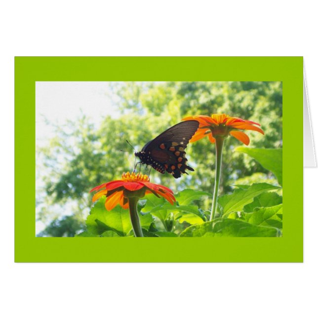 オレンジは私の幸せな色です (正面横)