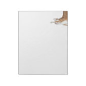 オレンジよくはしゃぐと白の虎猫 ノートパッド (回転)