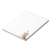 オレンジよくはしゃぐと白の虎猫 ノートパッド (回転)