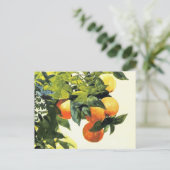 オレンジをブランチウィンスローホームマーファインアートポストカー ポストカード (スタンド正面)