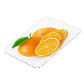 オレンジを切る マグネット (左側)