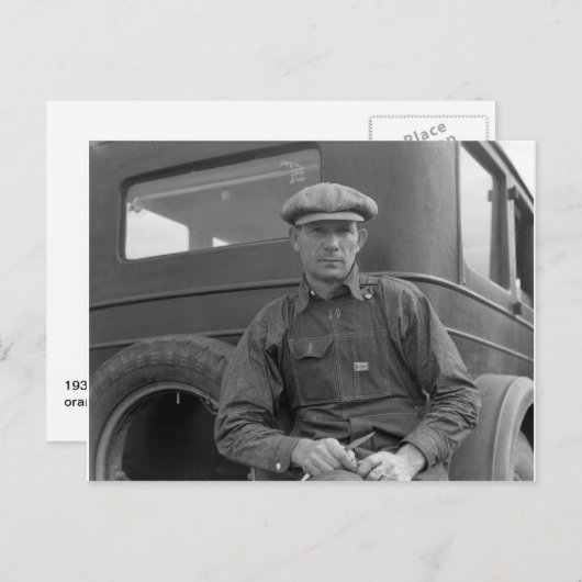 オレンジを選ぶのを待っている ポストカード (正面/裏面)