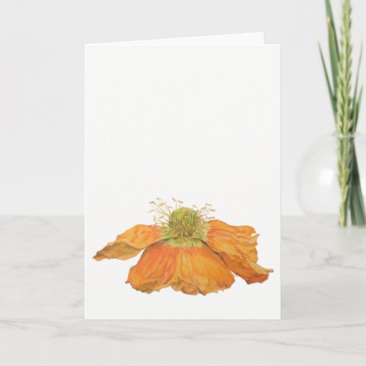オレンジアイスランドのケシの挨拶状5" x 7" カード (正面)