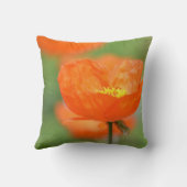 オレンジアイスランドポピーの花 クッション (裏面)