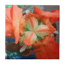 オレンジアイリスフラワータイル