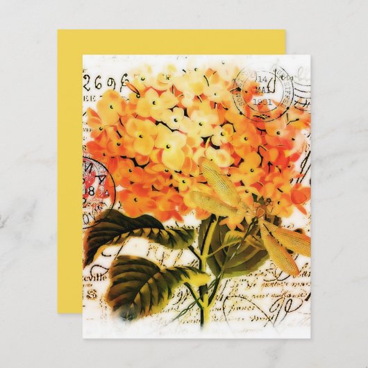 オレンジアジサイ (正面/裏面)