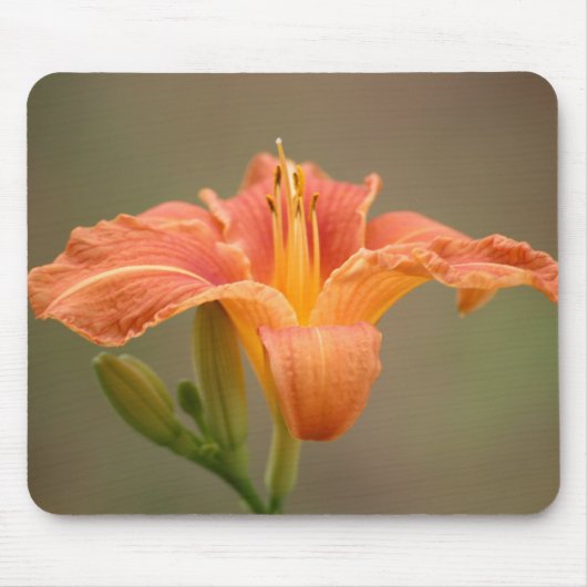 オレンジアジティシェリリー マウスパッド (正面)