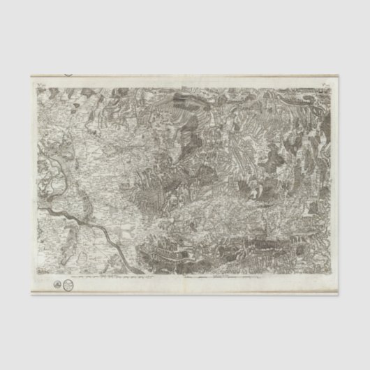 オレンジアビニョン 薄葉紙 (正面)