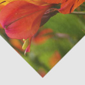 オレンジアルストロエメリア（ペルーリリー）ティッシュペーパー 薄葉紙 (詳細)