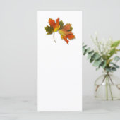 オレンジアンドゴールデン紅葉 (スタンド正面)