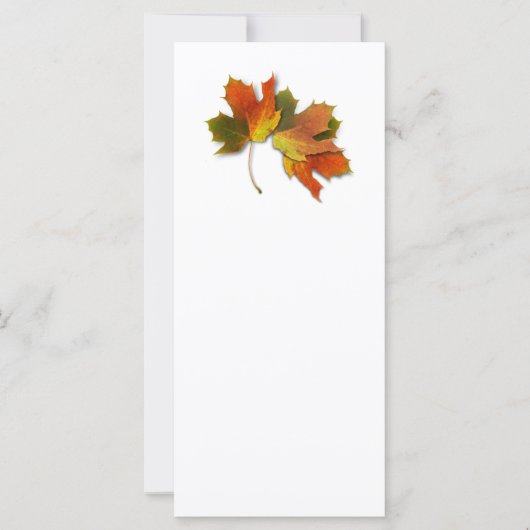 オレンジアンドゴールデン紅葉 (正面)