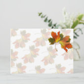 オレンジアンドゴールデン紅葉 招待状 (スタンド正面)