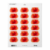 オレンジイエローハイビスカストロピカルフラワーハワイアン ラベル (フルシート)