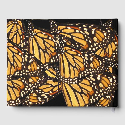 オレンジイエローバタフライバースデーパーティーゲストブック ゲストブック (裏面)