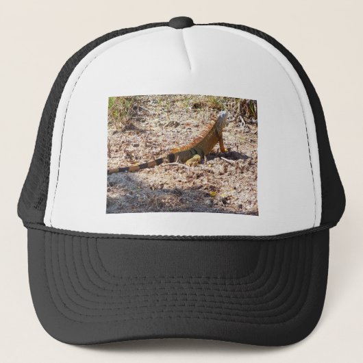 オレンジイグアナ狩り キャップ (正面)