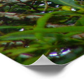 オレンジイグアナ ポスター (角)